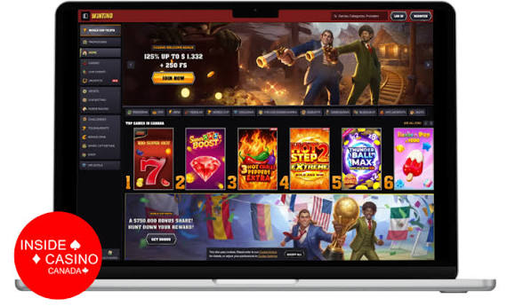Wintino Gambling Enterprise: Pełna recenzja funkcji, licencji i wsparcia